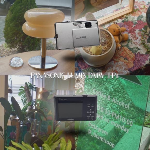 작례⭕️ 파나소닉 루믹스 DMC-FP1