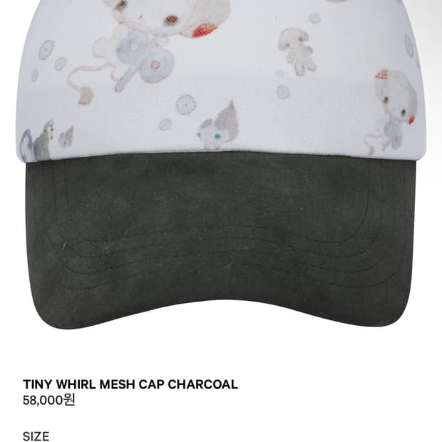 코이세이오 타이니 월 모자 차콜
