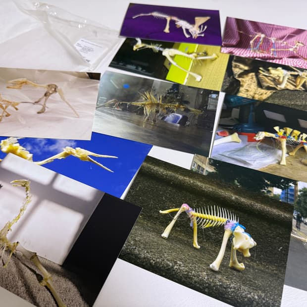 포스트포에틱스 아트엽서