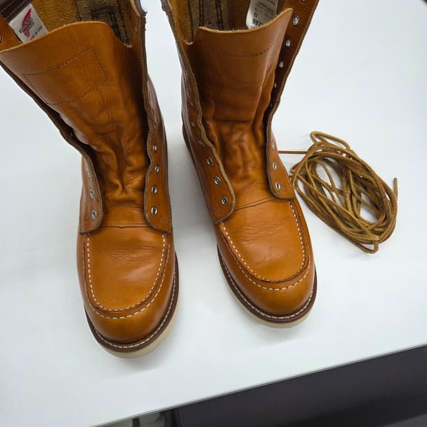 레드윙 9877 아이리쉬세터 9.5 d 