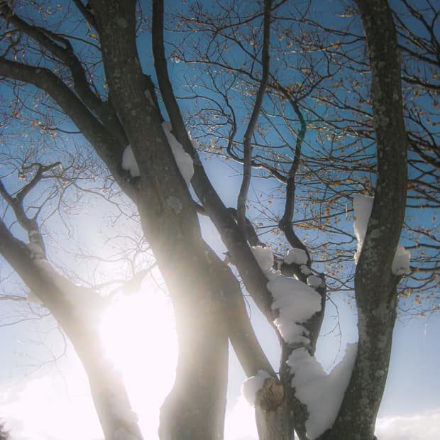 s***님 개인결제창