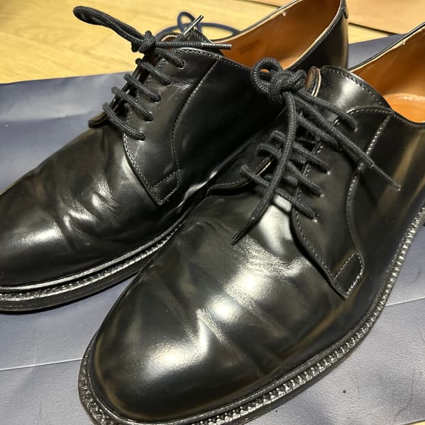 (270)Berwick 더비 5341 Rois calf Black UK8