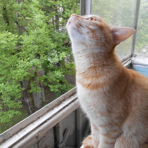 [연예인픽&뽀용!] 니콘 Coolpix S3300 실버 디지털카메라