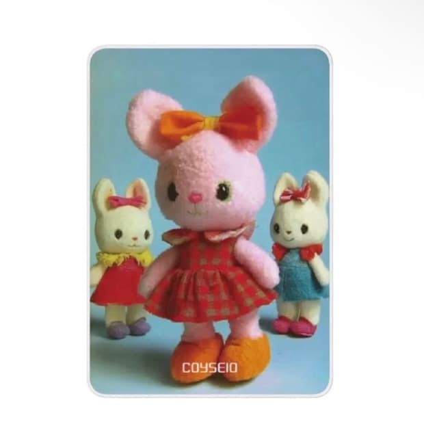 coyseio 코이세이오 더현대 대구 한정판 담요 