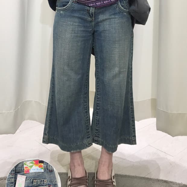 In the Blue Capri Pants