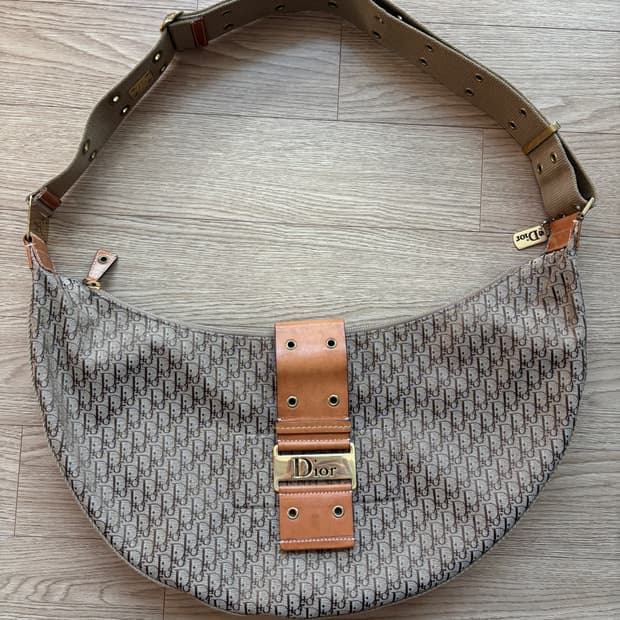 디올 오블리크 트로터 반달 호보백 