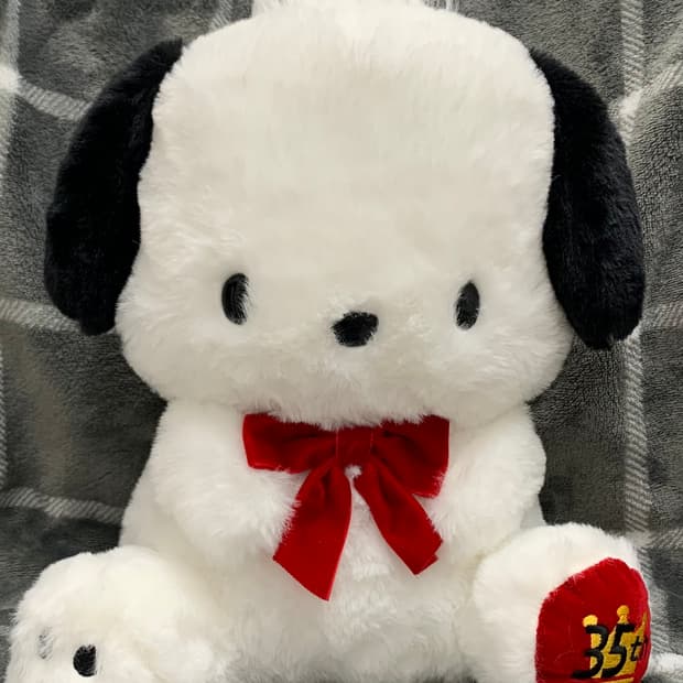 산리오 포챠코 인형 35주년 리본 봉제인형