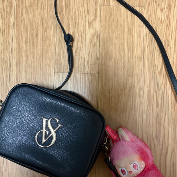 빅토리아시크릿 카메라백 