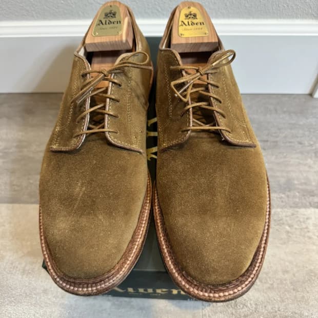 10D 알든 29336F  플레인토 더비  스너프 스웨이드