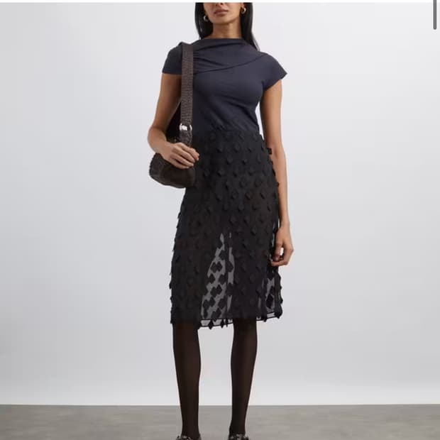 PALOMA WOOL Tris Transparent Skirt – 38 