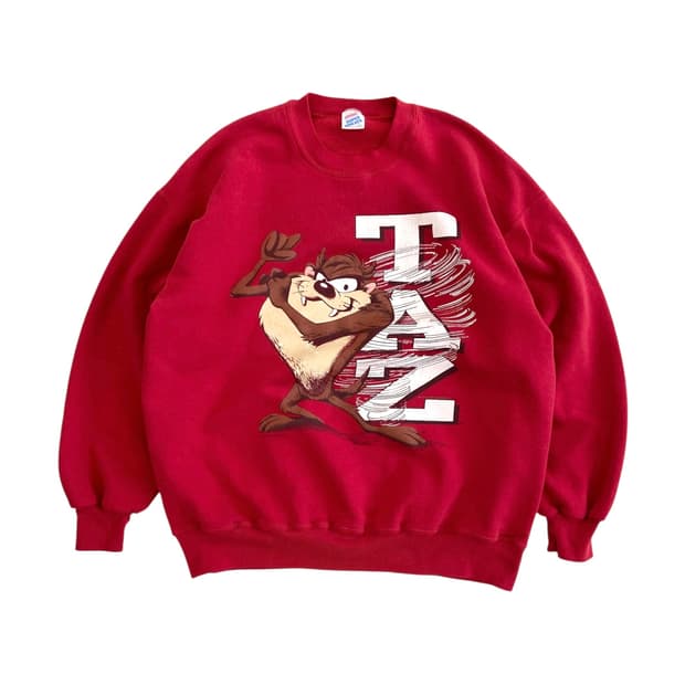 90's 워너브로스 테즈 스웻셔츠