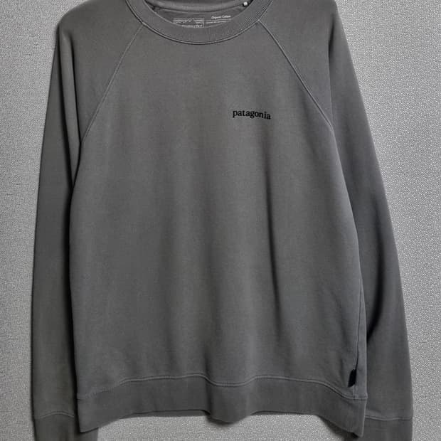M ) 파타고니아 그레이 맨투맨
