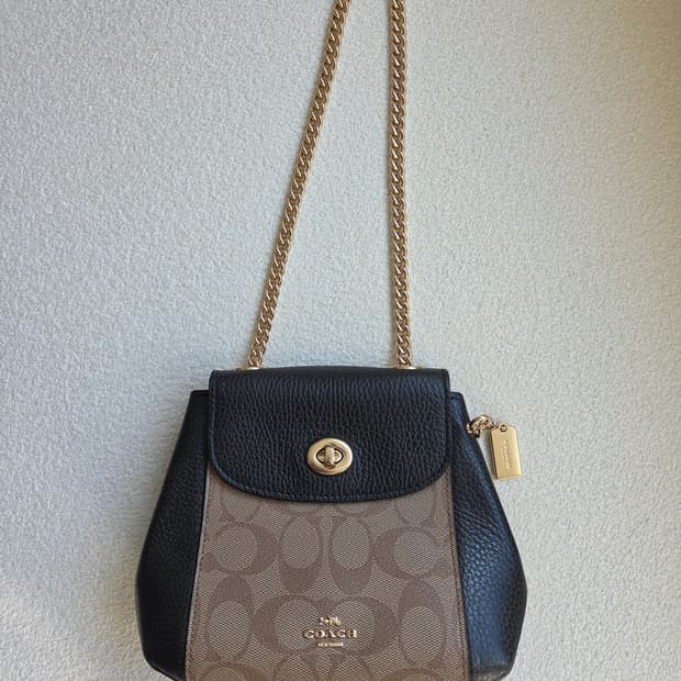 코치  시그니처가방