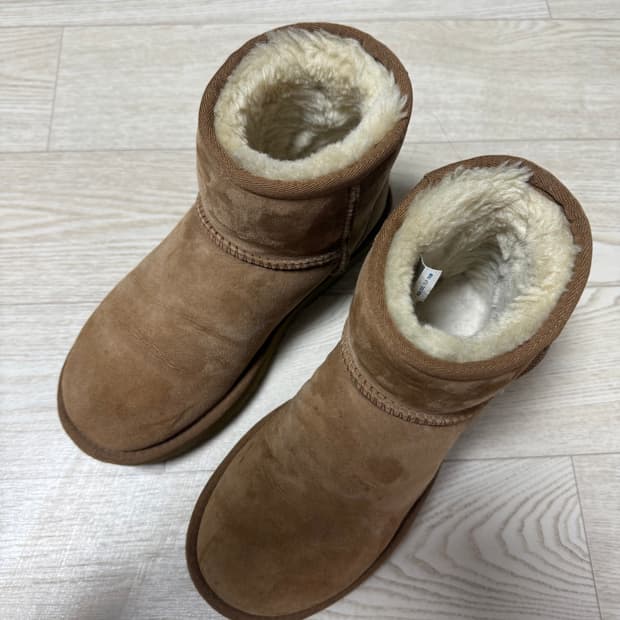 미국어그 클래식 미니(220)