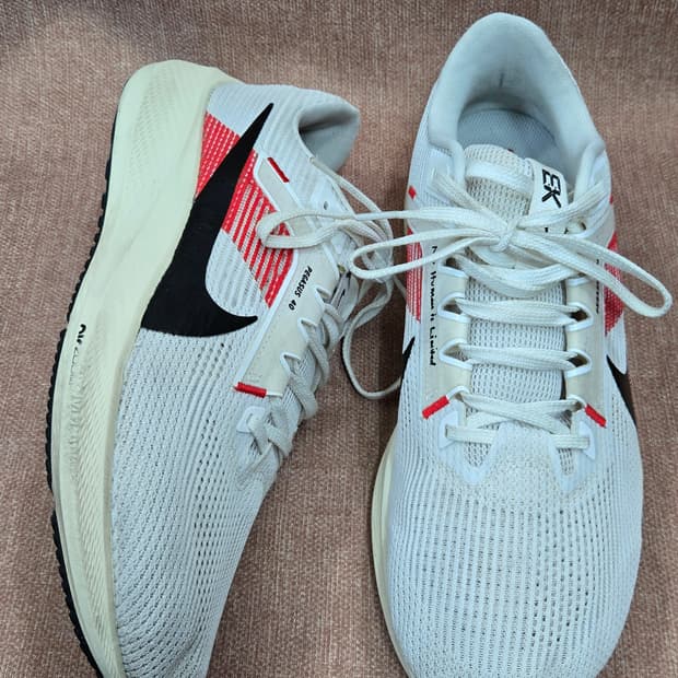 나이키 285mm-   페가수스 40스니커즈 런닝화