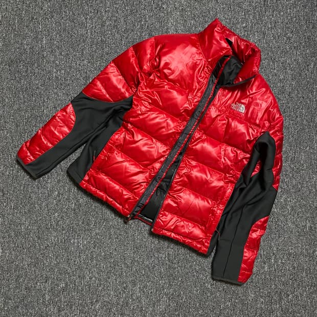 🌊TNFsummit 800 goose crimptastic jumper