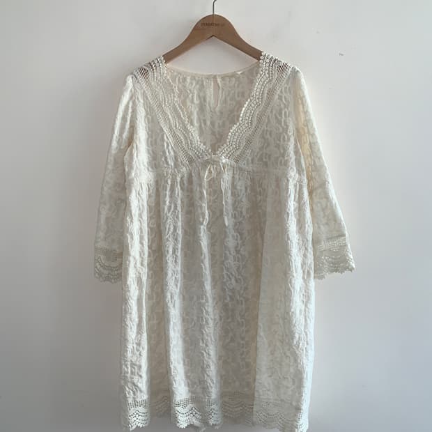 Aoi lace v top dress