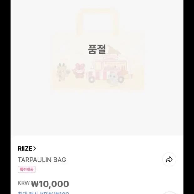 라이즈 리틀라이즈 파크 타포린백