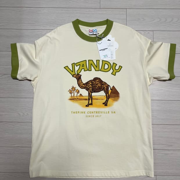 반디더핑크 링거티