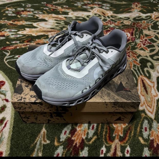 Onrunning cloudmonster ice alloy 44(280)