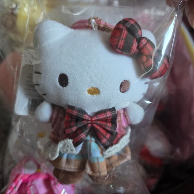 헬로키티 체크온체크