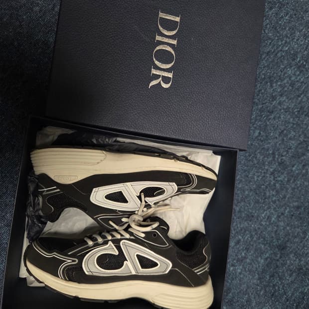 Dior 디올 B30 러너 41사이즈