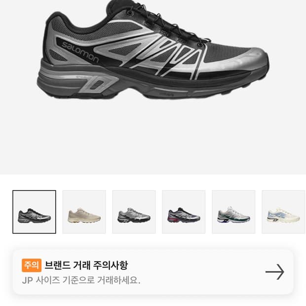 살로몬 XT-Wings 2 Silver  265
