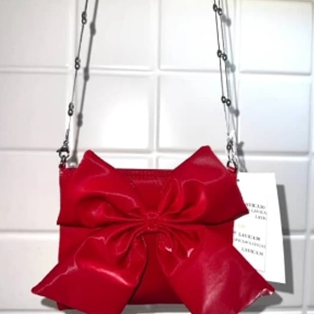 Wallet Mini Bag RED 리본 리뉴얼 버전