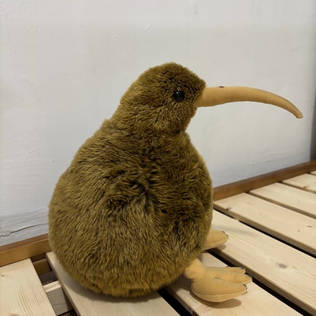 키위새 인형