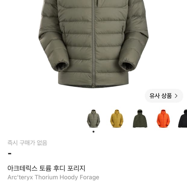 아크테릭스 토륨 후디 포리지 M