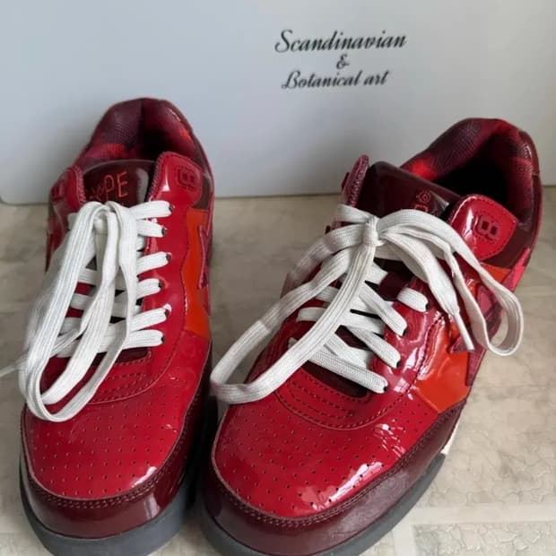 베이프 로드스타