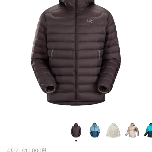 아크테릭스 세륨 후디 비터스 M