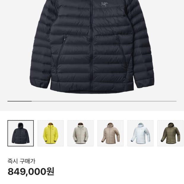 아크테릭스 세륨 후디 블랙 사파이어