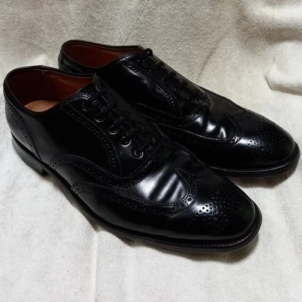 [판매] alden 9741 알든 9741 쉘 코도반 윙팁 발모랄 9 E