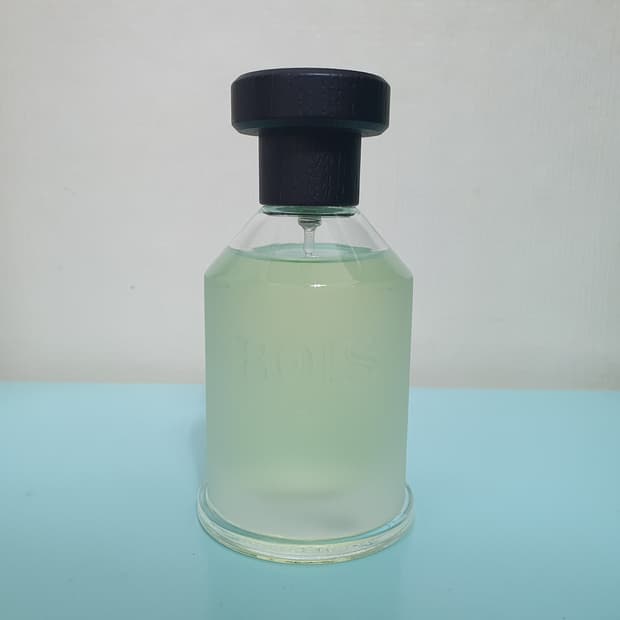 Bois 1920 보이스 마지아 EDT 100ml 향수 Magia Boi