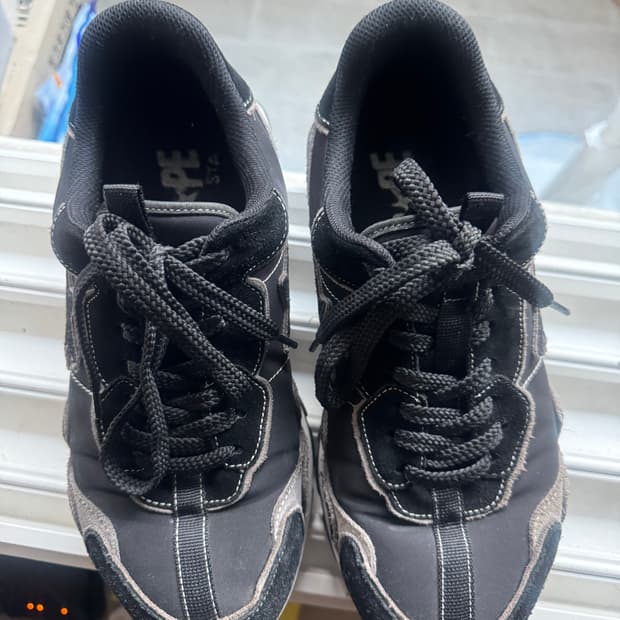 베이프 로드스타 익스프레스 280