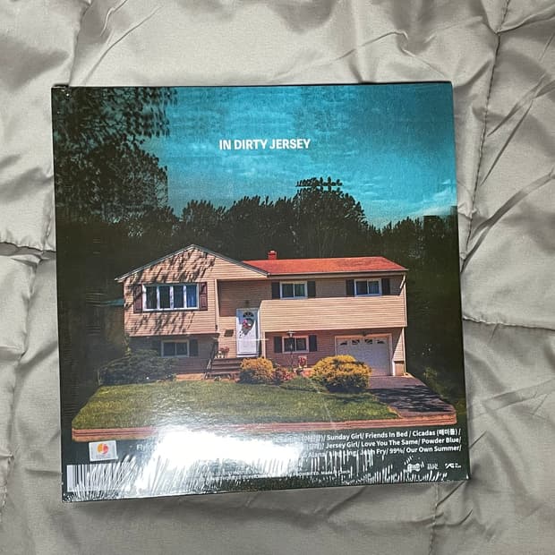 검정치마lp 틴트러블스