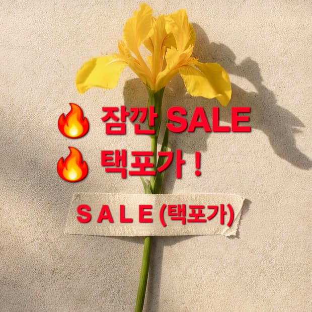 🔥잠깐 세일 진행합니다🔥