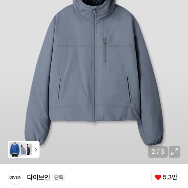 다이브인 LOOSED LIGHT PADDED JACKET (무민서)