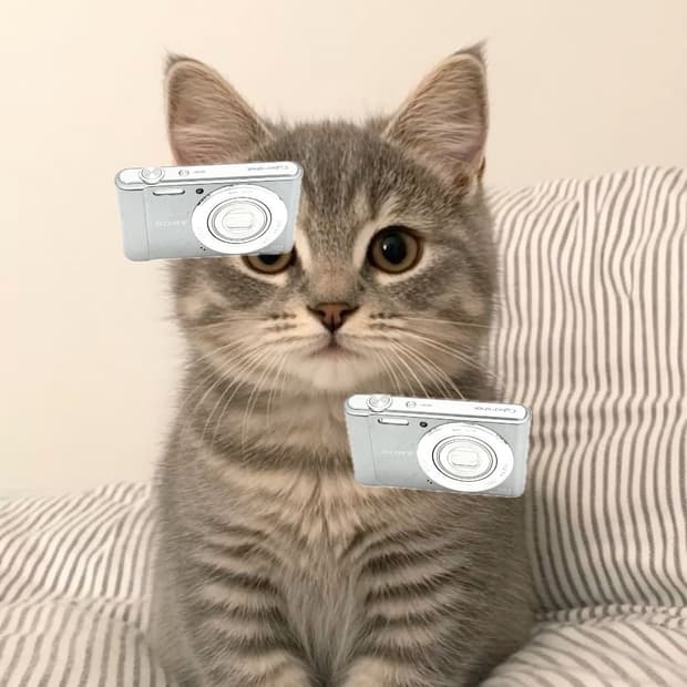 희귀&강추!) Sony Cyber-shot W810 디카 카메라