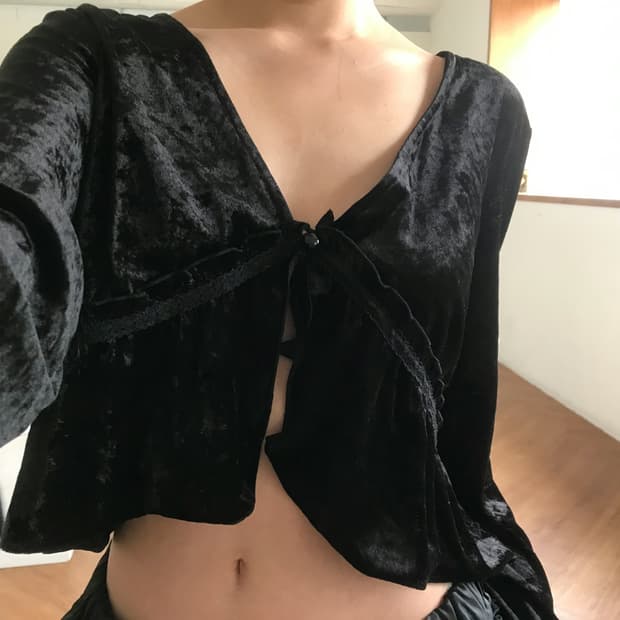 vintage velvet top
