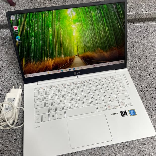 LG Gram 노트북
