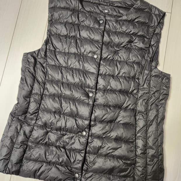 탑탠 구스다운 베스트 경량 패딩조끼 사이즈90(s)

여러 중고사이트에도