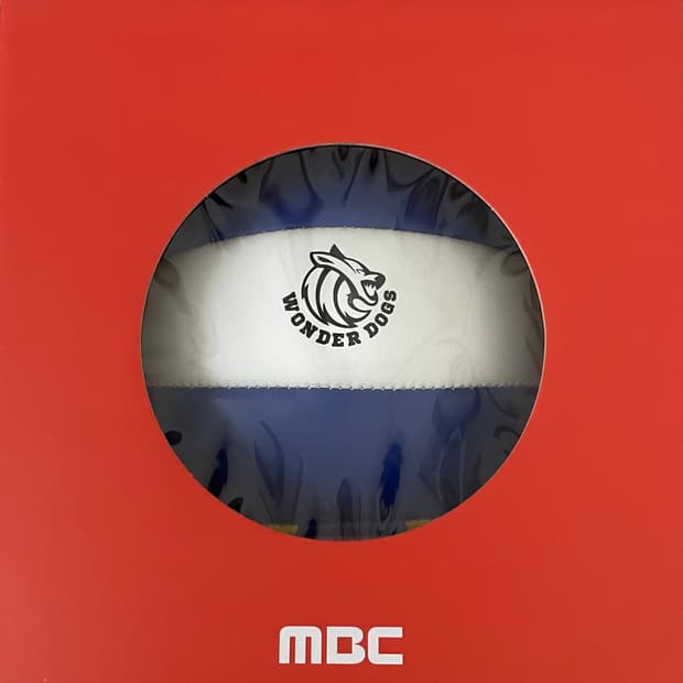 [새상품] 원더독스 배구공 김연경 배구공 신인감독 김연경