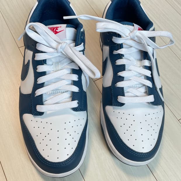 나이키 덩크 로우 발레리안블루 270
