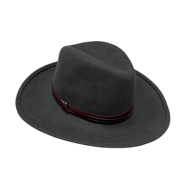 Hats & dreams wool felt fedora