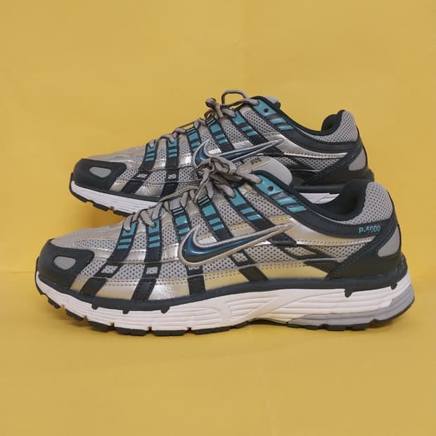 남성 나이키 P-6000 메탈릭실버 런닝화, 운동화 (255)