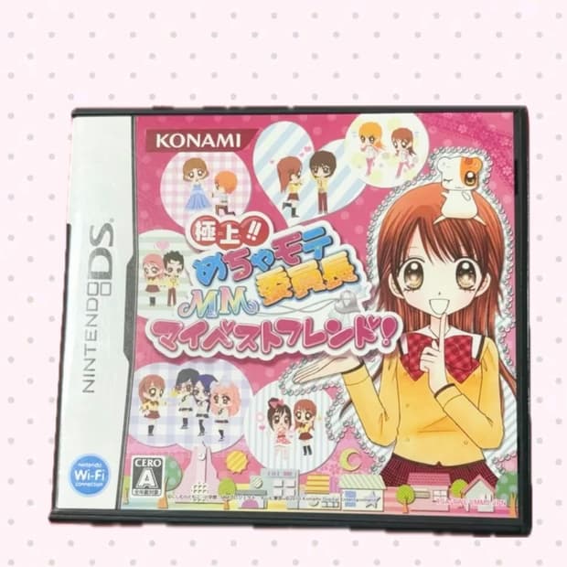 완소 퍼펙트 반장 닌텐도ds 칩