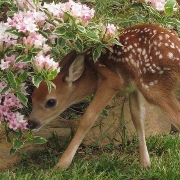 Gap jeans 데님 블라우스