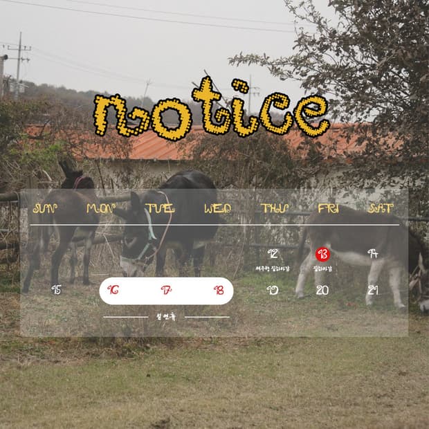 0wall Delivery Notice